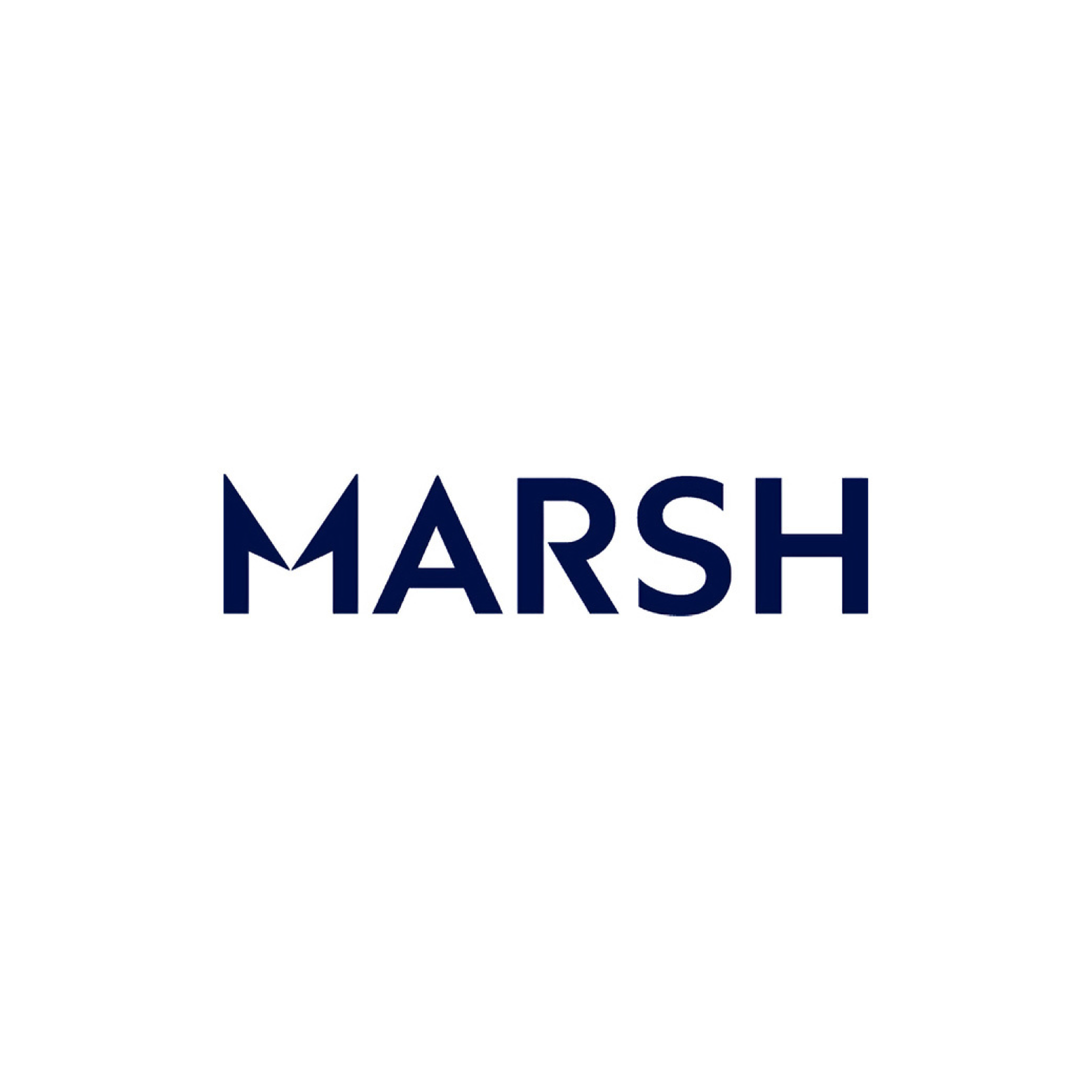 Marsh Agency website screenshot